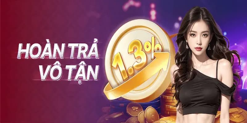 Hoàn trả 1,3% Hoàn trả 1,3% về lợi ích nổi bật